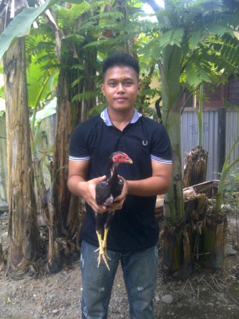 andri_ajwir's profile picture. I love you just like I love my mother @ hika dayama