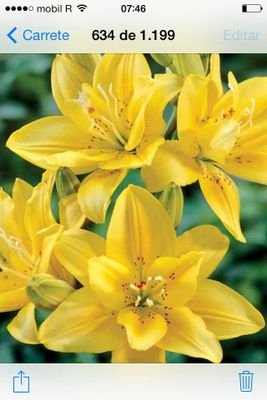 MariacodeRomero's profile picture. 