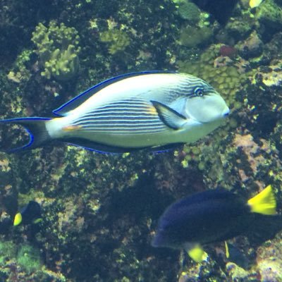 PrateekM79's profile picture. AbtP2P is about celebrating relationships with exists between individuals. After all life is all about P2P... So Join in and celebrate!!!