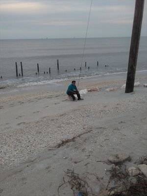 marfergorval's profile picture. 