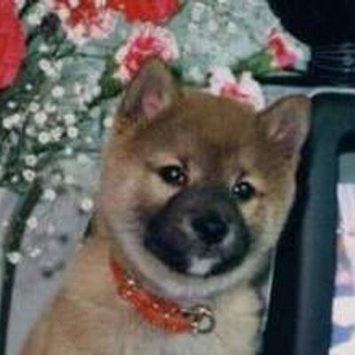 てつジン Tetsujin29 Twitter