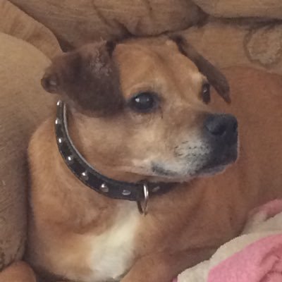 benjamestate1's profile picture. 