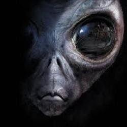 documentales_yt's profile picture. 