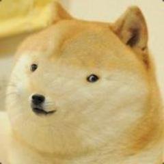 GamingWittyPhob's profile picture. 