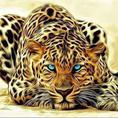 nHksFg46PsF0sQG's profile picture. 