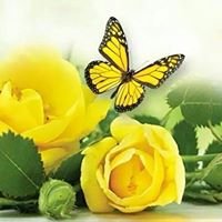 peace742766's profile picture. 