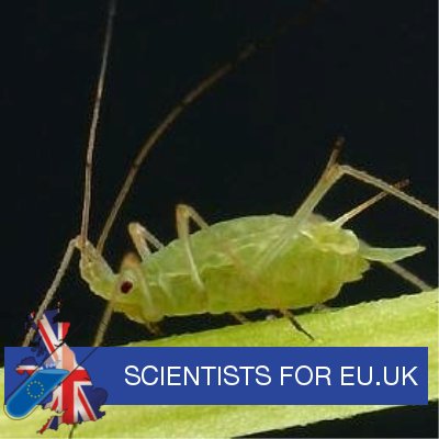 ejduncan 🦋 Profile