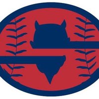 Springville Softball (@shs_softballl) 's Twitter Profile