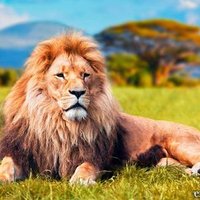 rey de reyes (@bc4d773663b84a2) 's Twitter Profile