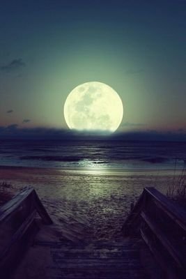 qarolains's profile picture. Con mí mamma. #NISMAN #51 #47 #44  #justiciaporLucioDupuy . Si y todavía tengo Fé. Viva la Patria 🇦🇷 .