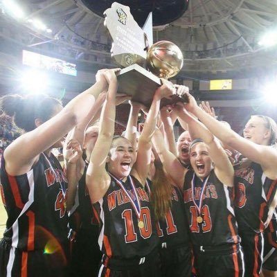 Verona Girls Basketball: 2016 STATE CHAMPIONS Updates, News, Game Times & more! See you at a game!