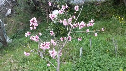 WBernagozzi's profile picture. 