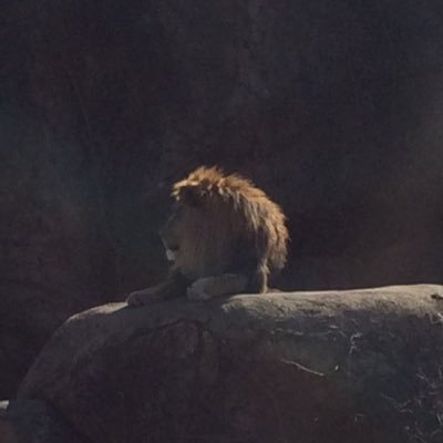 archiebunker62's profile picture. 