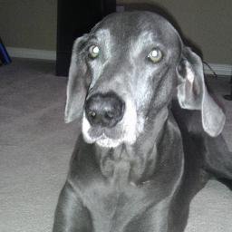 weimchick's profile picture. 