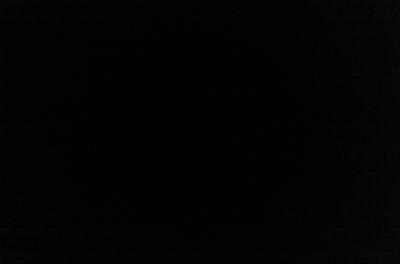 Trumpnever1's profile picture. 