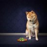 qazsedcftgb's profile picture. 年収750万くらいのITコンサルもどき。TOEICは870点（目標は900超え）。RHCEをそのうち取りたい。VCP-NVも機会があれば。7年働いた会社を退職して9月からITコンサルに転職。