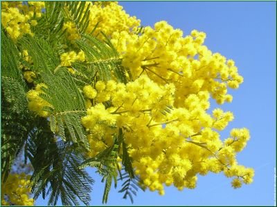 renfer1710's profile picture. 