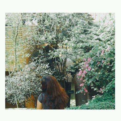 arife75337972's profile picture. 