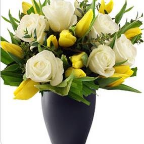 no1mrshobbs's profile picture. 