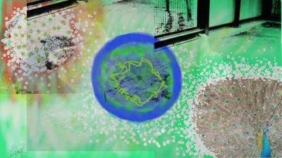 lumiere18582444's profile picture. そろそろ言いたいことはっきり言っておきたいなあと思う次第です🙋