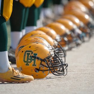 公認】戸山高校アメリカンフットボール部GREEN HORNETS🏈春から
