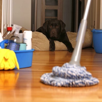 Lillie's Cleaners are a small group of domestic cleaners who pride themselves in making your home sparkle ! please call 07790299103 for a free quote