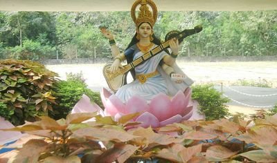 Abhishe14429618's profile picture. 