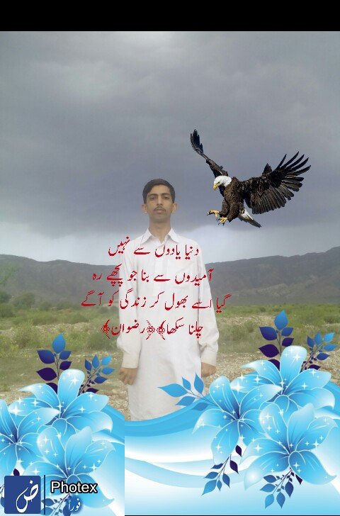 hum bewafa nhi