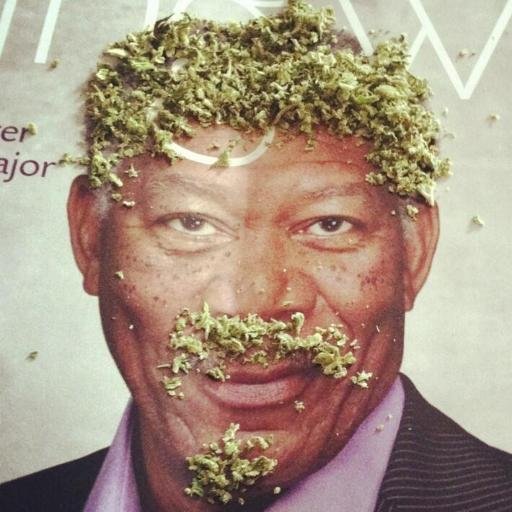 morgan_weed_man's profile picture. 