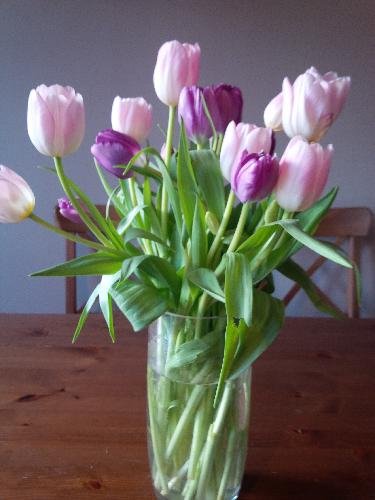 lisa_eldridge44's profile picture. 