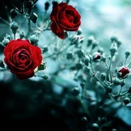 Joy4happyness's profile picture. 