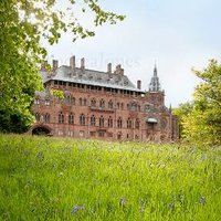 Mount Stuart Gardens (@ms_gardens) 's Twitter Profile