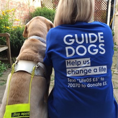 9yo goldie/lab retired guide dog. Star of Me & My Guide Dog, UK Community Fundraising Campaigns dog, winner of Life Changing Guide Dog of the Year '15