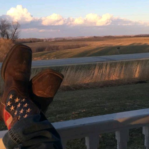 vitoria2001gata's profile picture. Future Vet