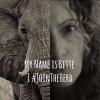Bette(@bds148) 's Twitter Profile Photo