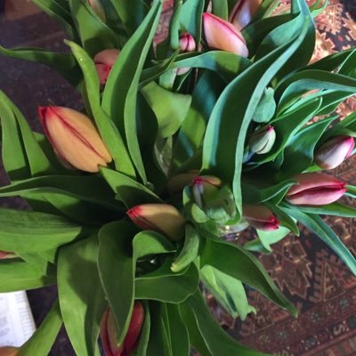 anderswhit's profile picture. 