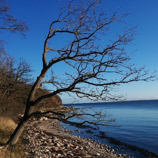 ph_il's profile picture. jetzt eher hier: @ph_il@chaos.social
