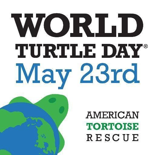 #Shellebrate annual #WorldTurtleDay May 23rd! Spreading awareness on illegal pet trade, live food markets and habitat destruction. Founded by @tortoiserescue.