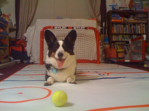 I predict hockey games on http://t.co/xtmlt4U1mf http://t.co/i69nnHF3Oz and I eat, sleep and play ball.