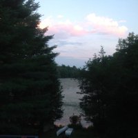 sherry bryant (@sbryantmiaa) 's Twitter Profile