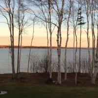 Sandra Walker (@sandraw28106714) 's Twitter Profile