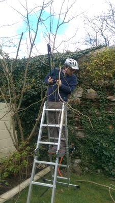 leeheard's profile picture. 