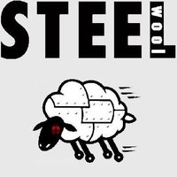 Steel Wool (@wearesteelwool) 's Twitter Profile