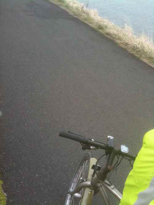 whereissteve's profile picture. 