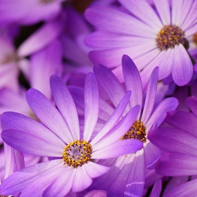 natasha14344's profile picture. 