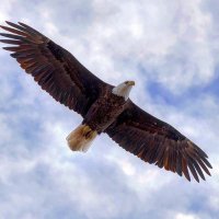 Heidi (@heidi5538) 's Twitter Profile
