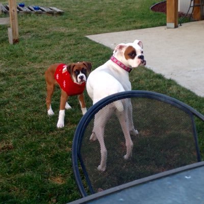 jgraille10's profile picture. 