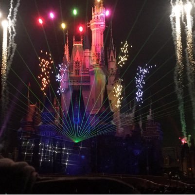 ディズニー大好きです♡