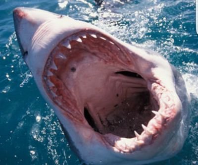 Mtheory444's profile picture. 