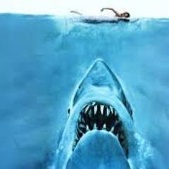 Rosamelano23's profile picture. 